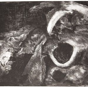5q5a0022